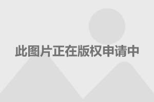 比亞迪上市動態(tài)及小巷特色小店的探索之旅！