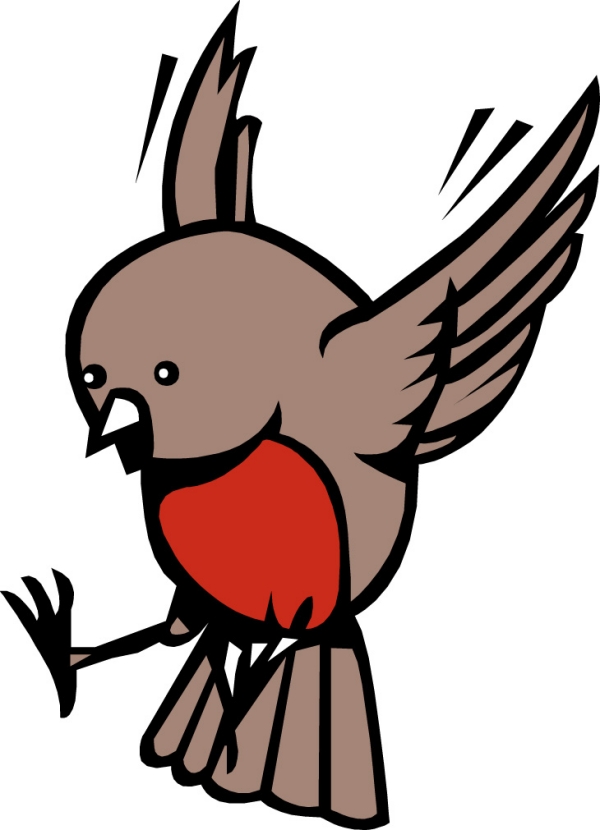 動(dòng)漫鳥(niǎo)圖片——彩虹之巔的夢(mèng)幻飛翔世界