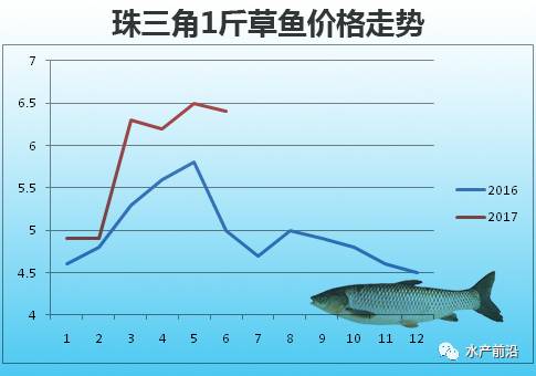 最新草魚市價,最新草魚市價大揭秘??