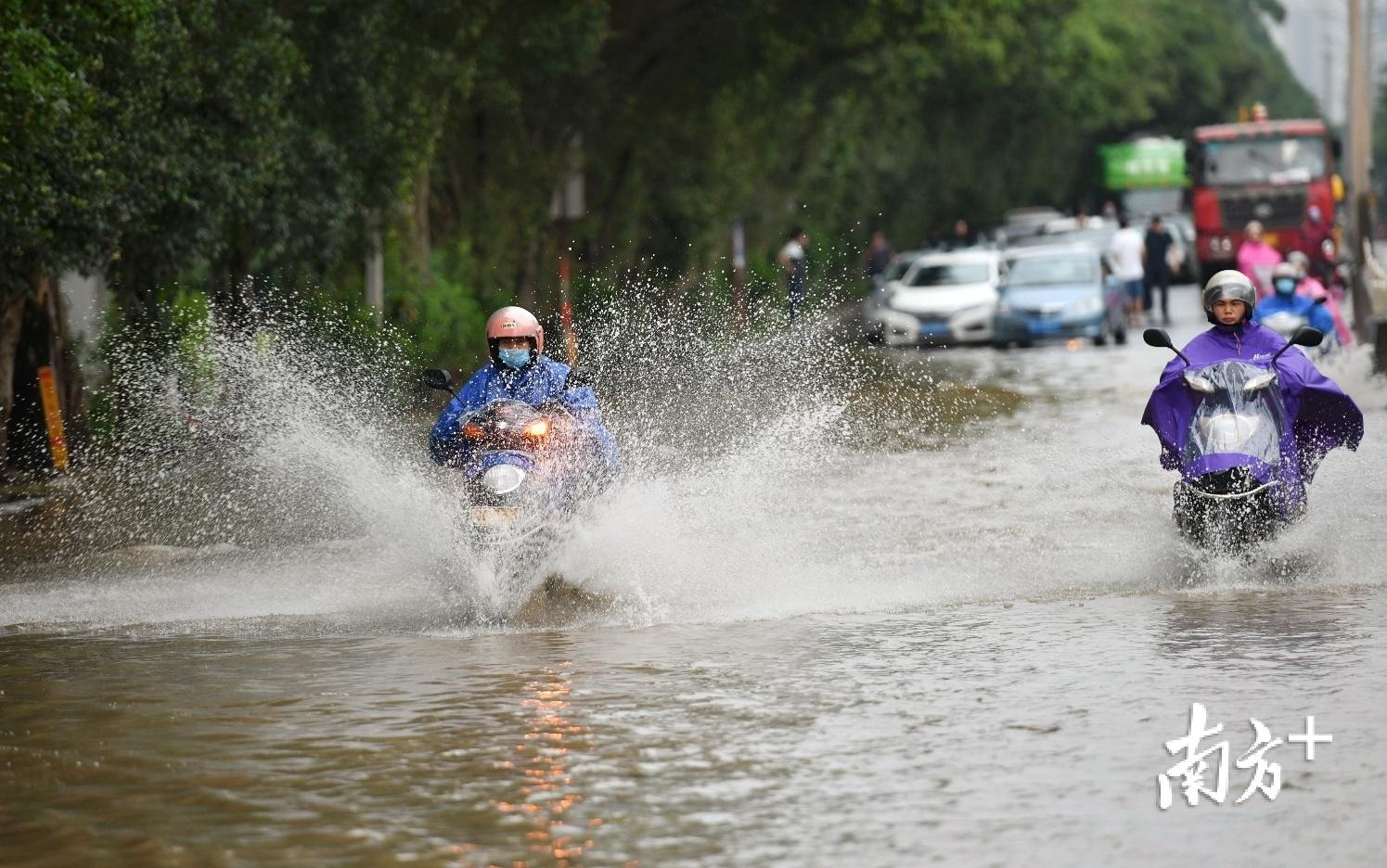 清遠華僑農(nóng)場最新動態(tài)更新