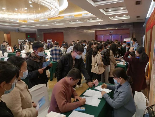 銅陵人才最新招聘信息網(wǎng)，深度分析與個(gè)人觀點(diǎn)匯總