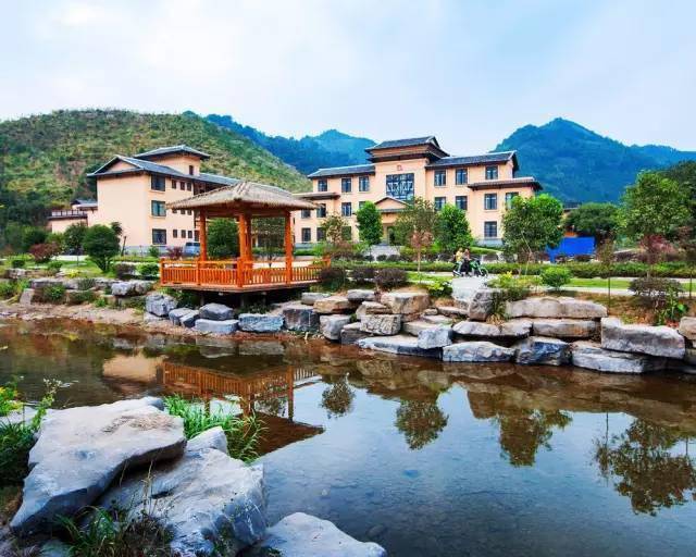 廣西蒙山高速最新動態(tài)，駛向自然美景，探尋內(nèi)心平靜的旅程